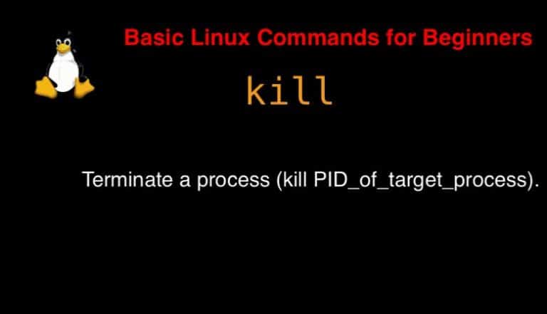 kill-command-in-linux-with-examples-devopsroles-better-2024