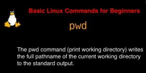 pwd command in Linux with Examples - DevopsRoles.com free 2025