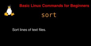 Sort Command In Linux With Examples - DevopsRoles.com Better 2024