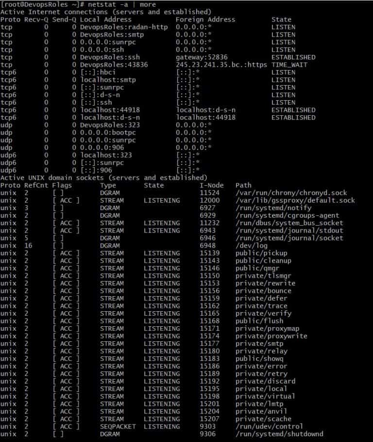 Mastering The Netstat Command In Linux: A Comprehensive Guide With ...