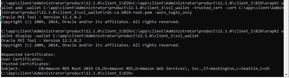 Setup SSL/TLS connection for AWS RDS Oracle Database 2022 - DevopsRoles ...
